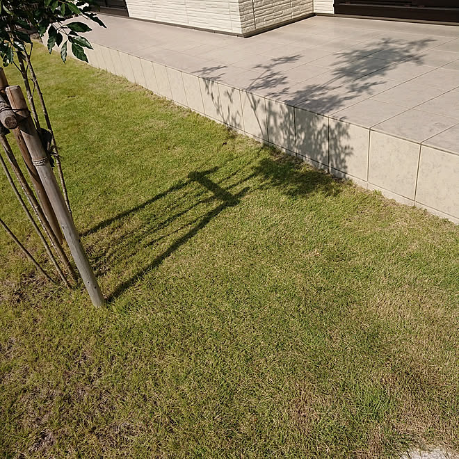 玄関 入り口 天然芝 庭のインテリア実例 19 11 10 17 02 16 Roomclip ルームクリップ