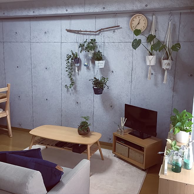 部屋全体 コンクリート壁 観葉植物 ダイソー 雑貨 などのインテリア実例 17 05 23 12 51 25 Roomclip ルームクリップ 部屋全体 コンクリート壁 観葉植物 ダイソー 雑貨 などのインテリア実例 17 05 23 12 51 25 Roomclip ルームクリップ