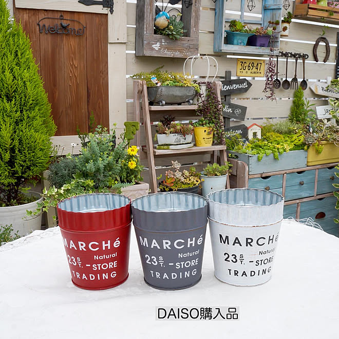 ダイソー購入品 ダイソー新商品 ブリキポット ダイソー 花のある暮らし などのインテリア実例 06 15 18 35 52 Roomclip ルームクリップ ダイソー購入品 ダイソー新商品 ブリキポット ダイソー 花のある暮らし などのインテリア実例 06 15 18 35 52 Roomclip ルームクリップ