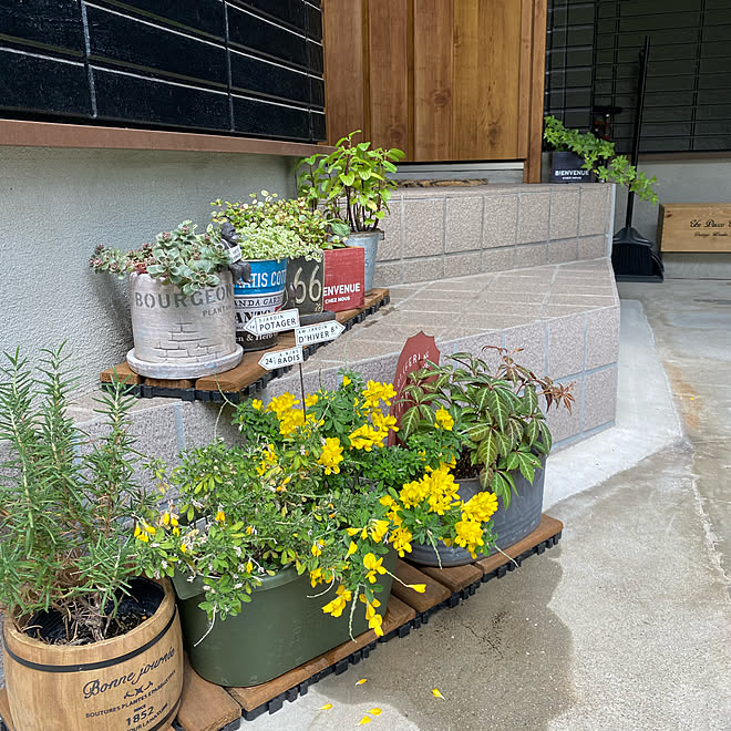 観葉植物 ガーデニング 多肉植物 ガーデン雑貨 ガーデニング初心者 などのインテリア実例 21 05 11 14 18 12 Roomclip ルームクリップ 観葉植物 ガーデニング 多肉植物 ガーデン雑貨 ガーデニング初心者 などのインテリア実例 21 05 11 14 18 12 Roomclip ルームクリップ