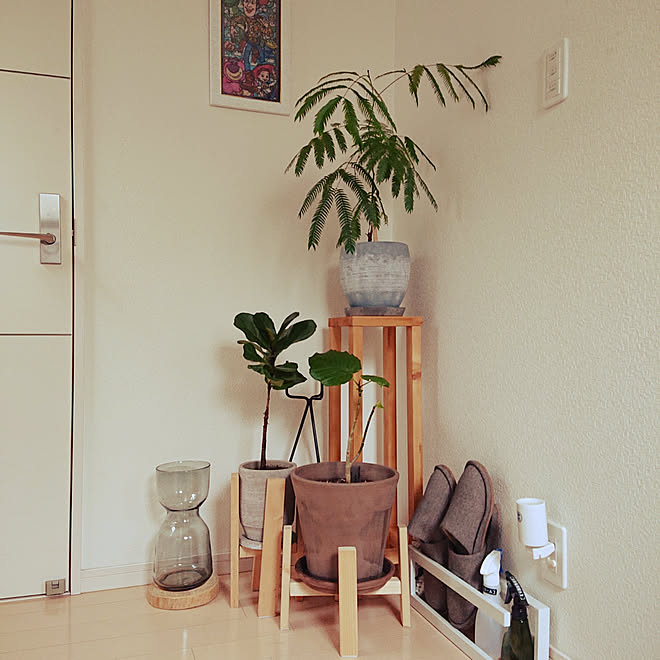 玄関 入り口 観葉植物 Diy Diy棚 ジャングル化計画 などのインテリア実例 05 22 15 44 26 Roomclip ルームクリップ 玄関 入り口 観葉植物 Diy Diy棚 ジャングル化計画 などのインテリア実例 05 22 15 44 26 Roomclip ルームクリップ