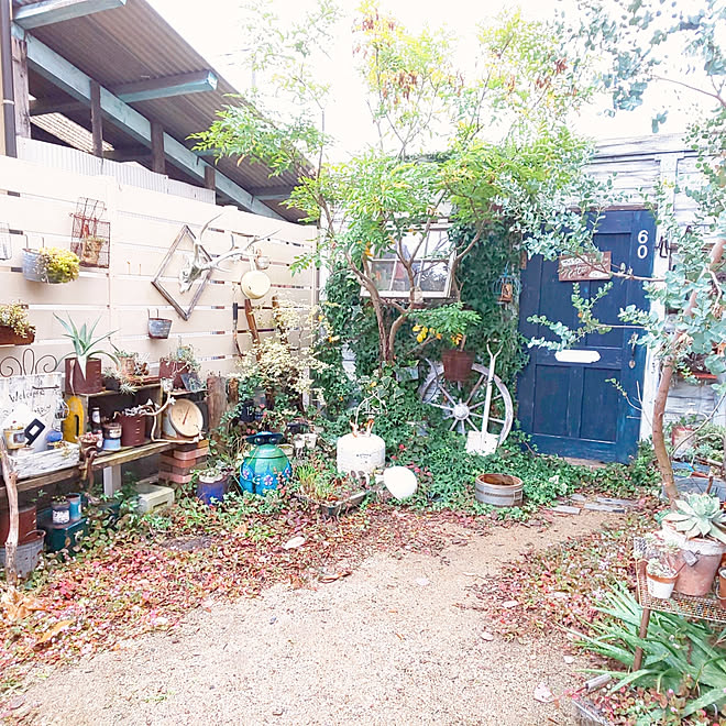 玄関 入り口 Diy 手作りの庭 アトリエ小屋 ナチュラルガーデン などのインテリア実例 05 03 18 45 37 Roomclip ルームクリップ 玄関 入り口 Diy 手作りの庭 アトリエ小屋 ナチュラルガーデン などのインテリア実例 05 03 18 45 37 Roomclip ルームクリップ