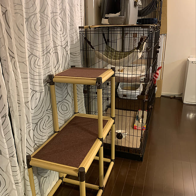 猫 セリア 100均 リビングのインテリア実例 08 01 23 34 38 Roomclip ルームクリップ