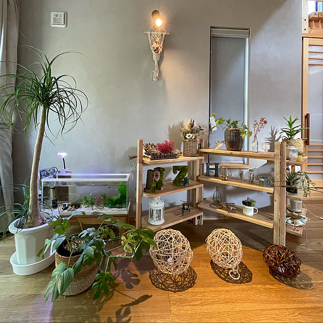 熱帯魚のいる暮らし 熱帯魚 観葉植物のある暮らし 観葉植物 趣味部屋 などのインテリア実例 21 09 10 22 33 30 Roomclip ルームクリップ 熱帯魚のいる暮らし 熱帯魚 観葉植物のある暮らし 観葉植物 趣味部屋 などのインテリア実例 21 09 10 22 33 30 Roomclip ルームクリップ