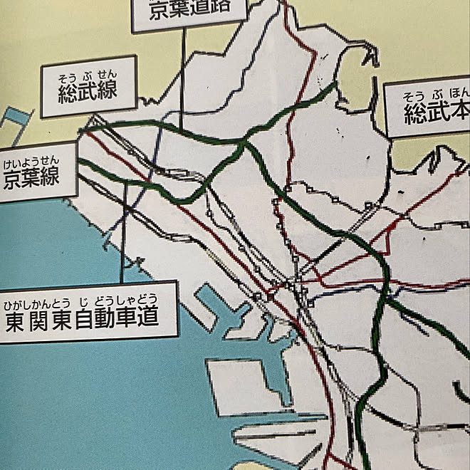 あーつかれるぅ/千葉市/シニア犬と暮らす/ハムスターと暮らす/緊急事態宣言...などのインテリア実例 - 2020-05-24 15:15:44