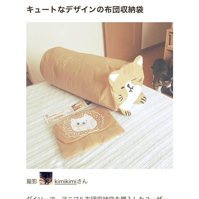 布団収納 ダイソー300円商品 Mag掲載ありがとうございます ゆっくりする時間をくれ O D O いつも いいね をありがとうございます などのインテリア実例 21 02 07 14 33 36 Roomclip ルームクリップ 布団収納 ダイソー300円商品 Mag掲載ありがとうございます ゆっくりする時間をくれ O D O いつも いいね をありがとうございます などのインテリア実例 21 02 07 14 33 36 Roomclip ルームクリップ
