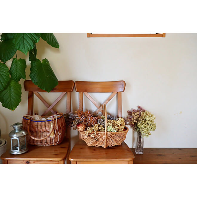 ウンベラータ アナベル ドライフラワー ドライフラワーのある暮らし 自然素材の家 などのインテリア実例 21 11 04 10 09 32 Roomclip ルームクリップ