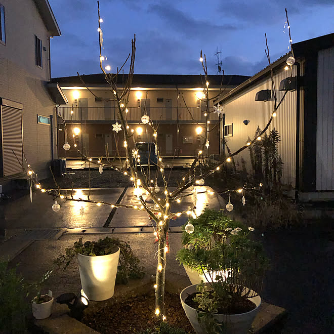 クリスマス ブロックの花壇 ソーラーライト 花壇 直植え などのインテリア実例 22 12 13 18 00 12 Roomclip ルームクリップ