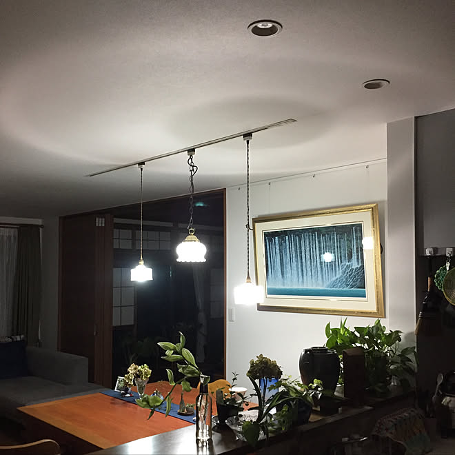 ダクトレール 照明 植物のある暮らし アートのある部屋 リビングのインテリア実例 09 08 23 01 11 Roomclip ルームクリップ