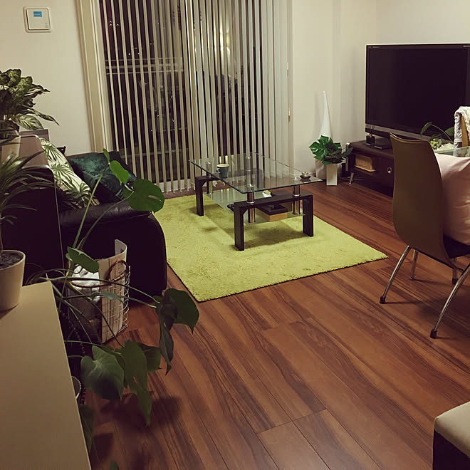 ラグのある暮らし ラグ 緑 ラグ 14畳ldk リビングのインテリア実例 19 08 19 23 40 05 Roomclip ルームクリップ