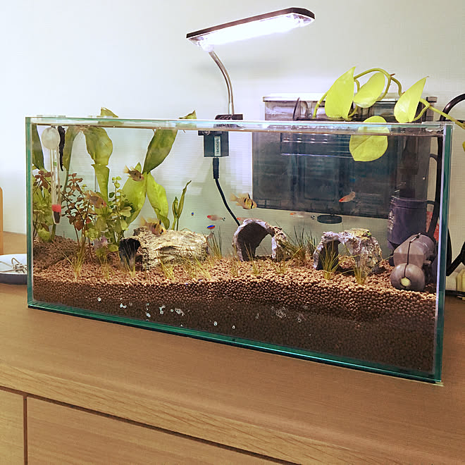 いろいろ ニトリ 水槽 水槽台 30cm ニトリ Songojpsinhi いろいろ ニトリ 水槽 水槽台 30cm ニトリ Songojpsinhi