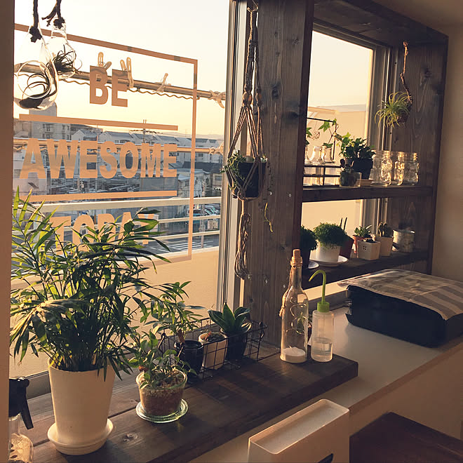 棚 窓枠diy カフェ風 Diy 多肉植物 などのインテリア実例 19 02 21 18 47 52 Roomclip ルームクリップ