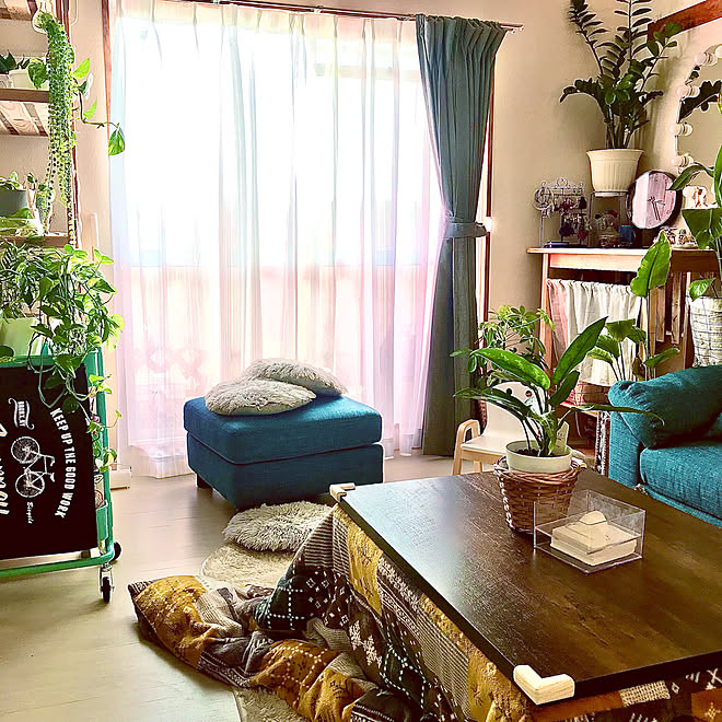 午後の１枚 家が落ち着く場所 日当たりの良い部屋 グリーンのある暮らし 団地で暮らす などのインテリア実例 22 03 15 15 40 55 Roomclip ルームクリップ