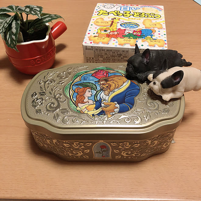 白いたべっ子どうぶつ ディズニーシーお土産 おやつ時間 いいね ありがとうございます コメント嬉しいです などのインテリア実例 21 01 13 22 18 26 Roomclip ルームクリップ 白いたべっ子どうぶつ ディズニーシーお土産 おやつ時間 いいね ありがとうございます コメント嬉しいです などのインテリア実例 21 01 13 22 18 26 Roomclip ルームクリップ