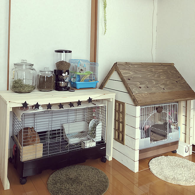ネザーランドドワーフ うさぎ小屋 うさぎケージ うさぎと暮らす ホーランドロップイヤー などのインテリア実例 17 12 12 56 05 Roomclip ルームクリップ