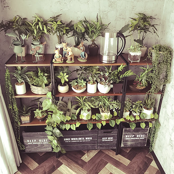 フェイクグリーン 男前 観葉植物 アンティーク 一人暮らし などのインテリア実例 03 22 13 54 19 Roomclip ルームクリップ