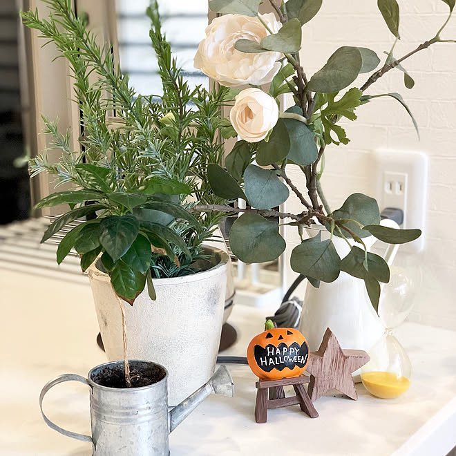 キッチンカウンター コーヒーの木 ニトリのフェイクグリーン ハロウィン Ikea などのインテリア実例 19 09 26 11 22 31 Roomclip ルームクリップ キッチンカウンター コーヒーの木 ニトリのフェイクグリーン ハロウィン Ikea などのインテリア実例 19 09 26 11 22 31 Roomclip ルームクリップ