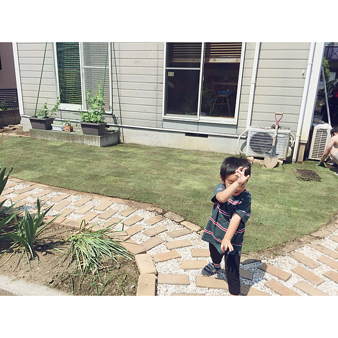 玄関 入り口 芝生ｄｉｙ 芝生の庭 リノベーション 中古一戸建て などのインテリア実例 18 06 02 15 14 48 Roomclip ルームクリップ