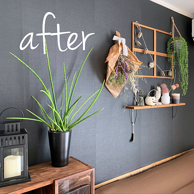 壁紙シール リフォーム リノベーション Diy Diy棚 ルームファクトリー などのインテリア実例 21 10 29 19 38 33 Roomclip ルームクリップ