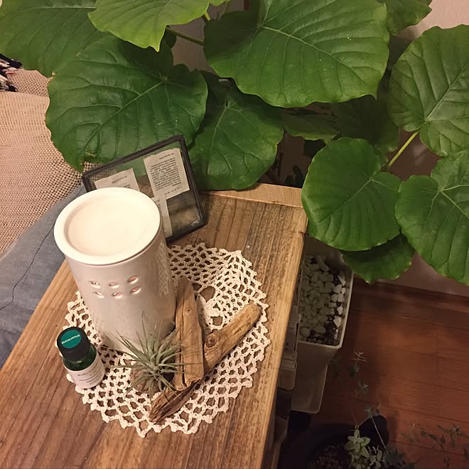 リビング アロマオイルはユーカリ 花粉症だから アロマ 観葉植物 などのインテリア実例 17 01 21 02 24 41 Roomclip ルームクリップ リビング アロマオイルはユーカリ 花粉症だから アロマ 観葉植物 などのインテリア実例 17 01 21 02 24 41 Roomclip ルームクリップ
