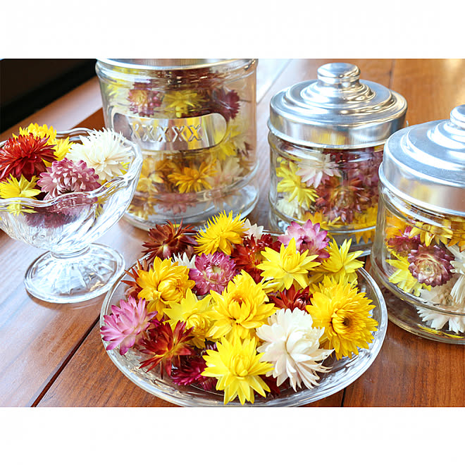 花 ヘリクリサム ヘリクリサム パステル ドライフラワー ドライフラワーリース などのインテリア実例 19 05 08 10 57 10 Roomclip ルームクリップ 花 ヘリクリサム ヘリクリサム パステル ドライフラワー ドライフラワーリース などのインテリア実例 19 05 08 10 57 10 Roomclip ルームクリップ