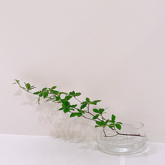 Ikea ホワイトインテリア 生花 枝もの ドウダンツツジ などのインテリア実例 21 06 23 01 04 Roomclip ルームクリップ Ikea ホワイトインテリア 生花 枝もの ドウダンツツジ などのインテリア実例 21 06 23 01 04 Roomclip ルームクリップ