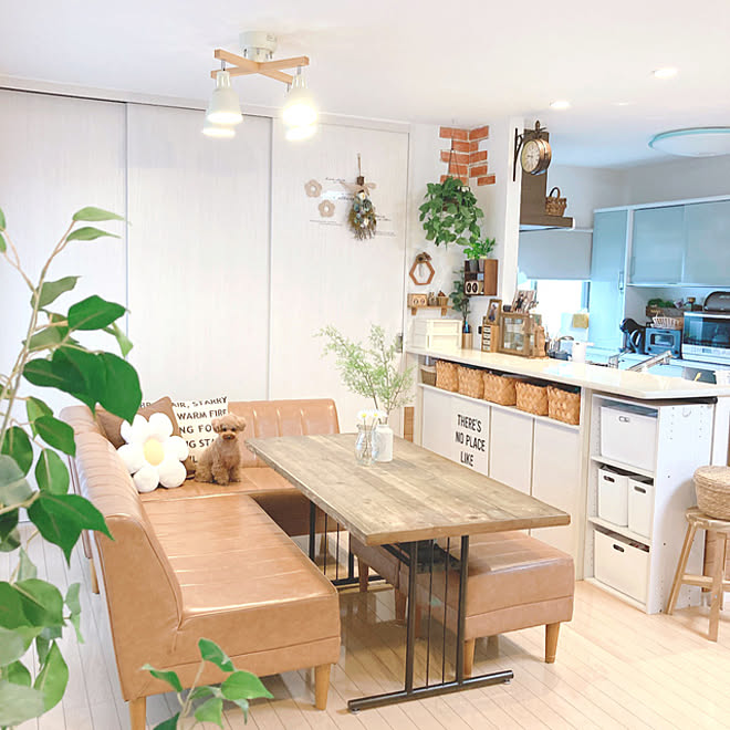 ソファダイニングテーブル ダイニング カフェ風インテリア すきなものに囲まれた暮らし グリーンのある暮らし などのインテリア実例 22 06 09 17 34 05 Roomclip ルームクリップ