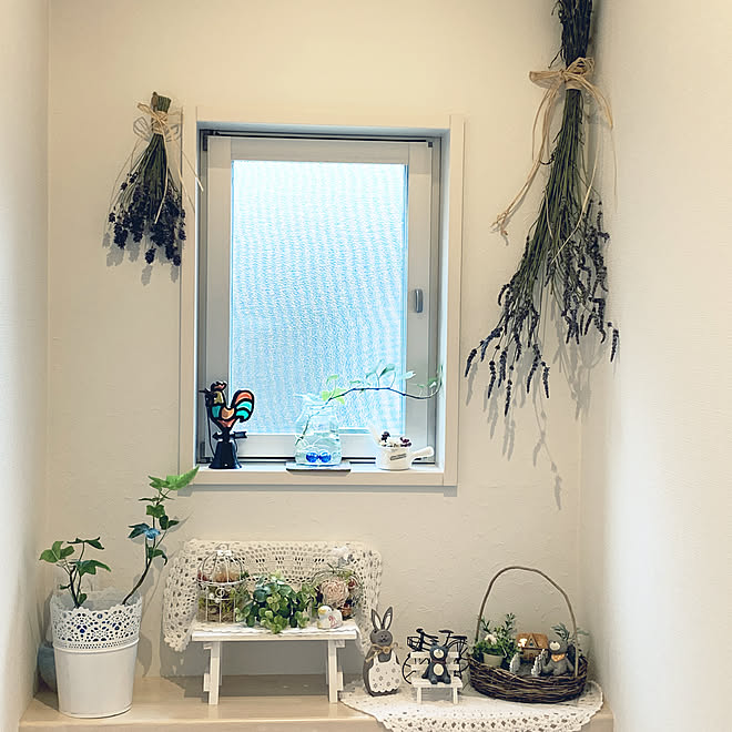 フェイクグリーン アイビー水差し ダイソー セリアの雑貨 イングリッシュラベンダー ラベンダーグロッソ などのインテリア実例 21 07 04 17 30 29 Roomclip ルームクリップ