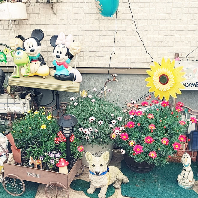 玄関 入り口 ミッキーミニー ディズニーオタク 毎日ディズニー ディズニーランドにしたい などのインテリア実例 21 04 07 00 39 42 Roomclip ルームクリップ