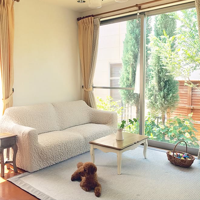 リビング/わんこと暮らす家/ナチュラル/グリーンのある暮らし/ラグのインテリア実例 20170529 10