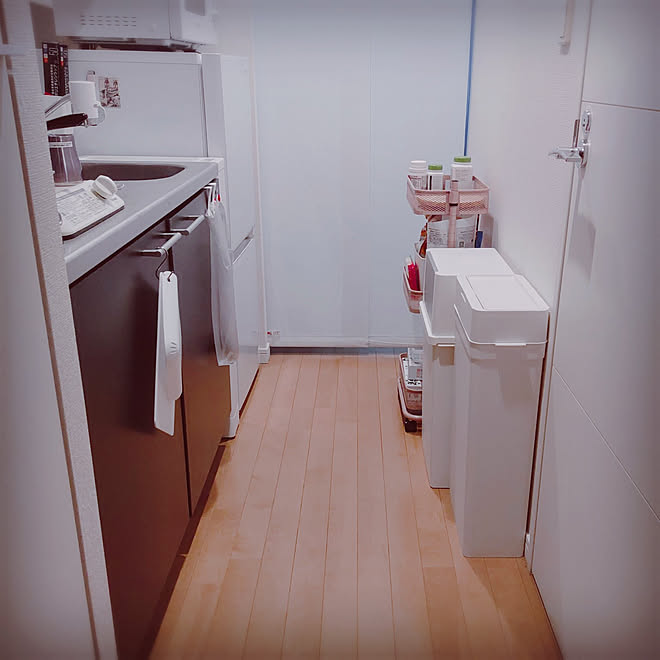 キッチン キッチンのゴミ箱 狭い廊下 一人暮らし Like It などのインテリア実例 11 03 04 16 39 Roomclip ルームクリップ
