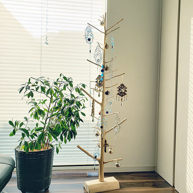 部屋全体/セリア/観葉植物/リノベーション/リノベーション5年...などのインテリア実例 - 2019-11-17 09:25:26