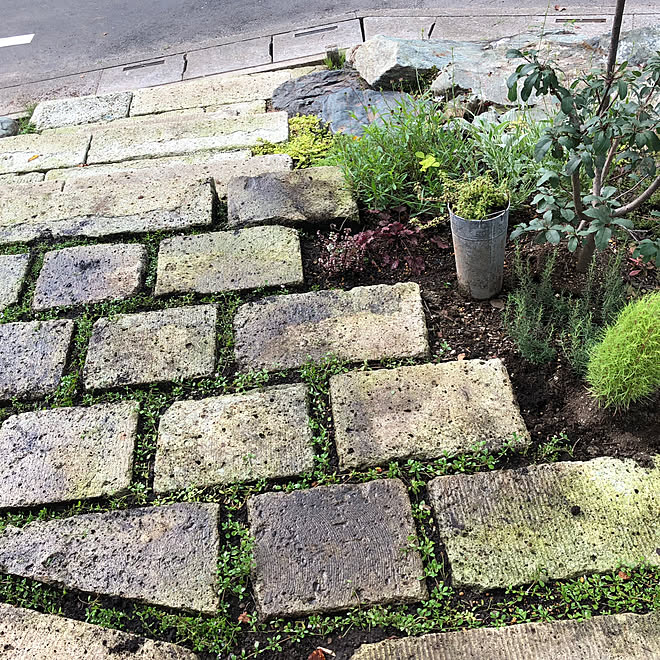 リピア ヒメイワダレソウ 大谷石 庭 ガーデン などのインテリア実例 19 07 18 23 26 28 Roomclip ルームクリップ