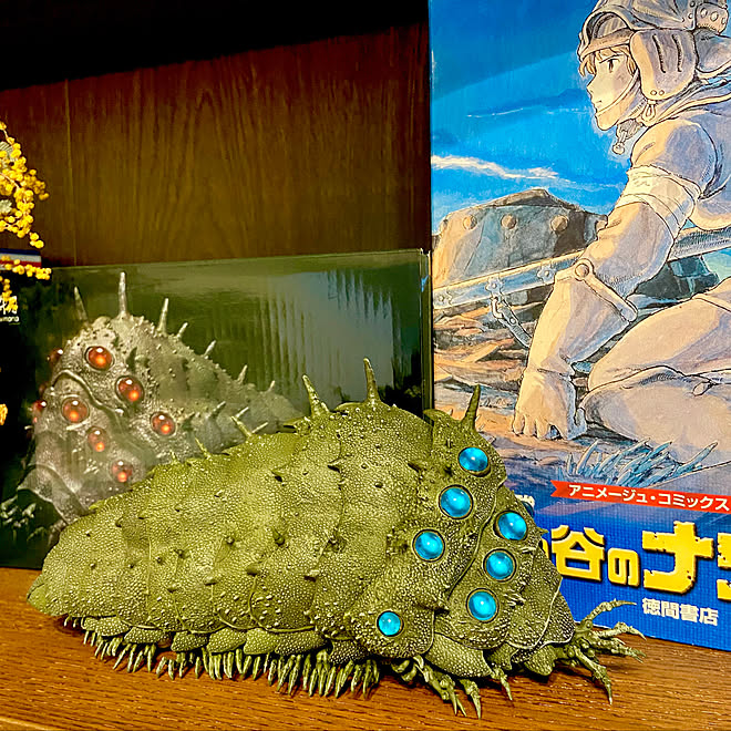 王蟲 風の谷のナウシカ 玄関 入り口のインテリア実例 05 12 08 01 51 Roomclip ルームクリップ