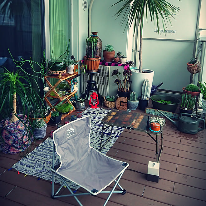 これさえあれば わたしの部屋 アロエ ベランピング トックリラン 観葉植物 などのインテリア実例 18 07 08 17 54 21 Roomclip ルームクリップ これさえあれば わたしの部屋 アロエ ベランピング トックリラン 観葉植物 などのインテリア実例 18 07 08 17 54 21 Roomclip ルームクリップ