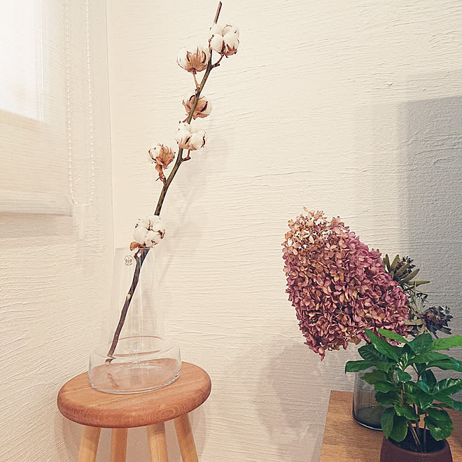 リビング ドライフラワーのある暮らし 自己満足の世界 綿 コットンフラワー などのインテリア実例 22 02 21 15 02 31 Roomclip ルームクリップ