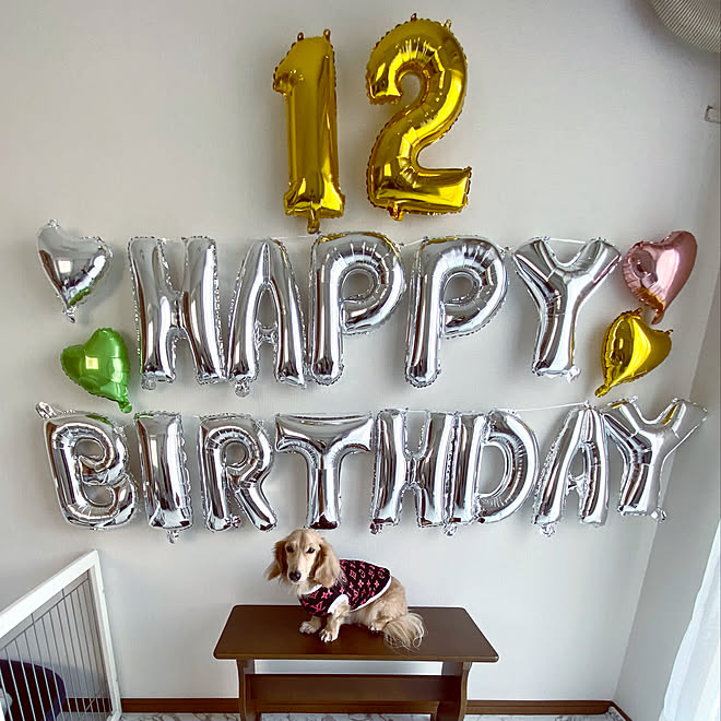犬の誕生日 バースデーバルーン 誕生日飾り付け 誕生日 一人暮らし などのインテリア実例 21 02 08 12 15 56 Roomclip ルームクリップ