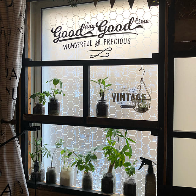 ウォールステッカー/Little Owner/植物のある暮らし/端材利用/出窓風DIY...などのインテリア実例 - 2019-11-14 10:29:49