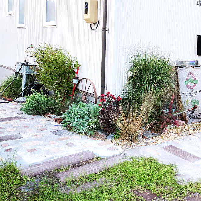 ガーデニング雑貨 グランドカバー ヒメイワダレソウ 枕木風コンクリート 耐寒性多年草 などのインテリア実例 19 09 08 18 09 03 Roomclip ルームクリップ
