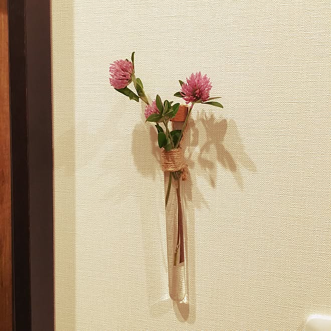 玄関 入り口 麻糸 試験管花瓶 Diy 雑貨のインテリア実例 17 05 28 40 17 Roomclip ルームクリップ 玄関 入り口 麻糸 試験管花瓶 Diy 雑貨のインテリア実例 17 05 28 40 17 Roomclip ルームクリップ