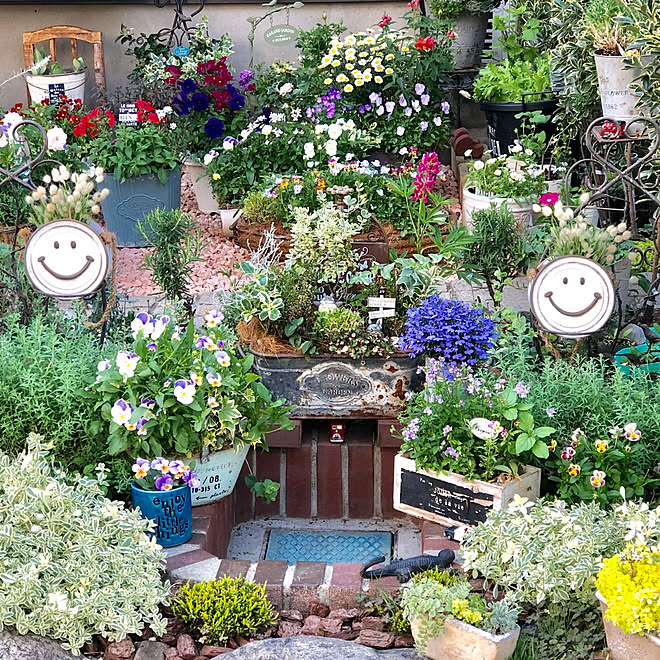 お花でいっぱいに 小さな庭 楽しい庭 米ぬかを肥料にしてます シレネ などのインテリア実例 19 05 30 21 55 58 Roomclip ルームクリップ