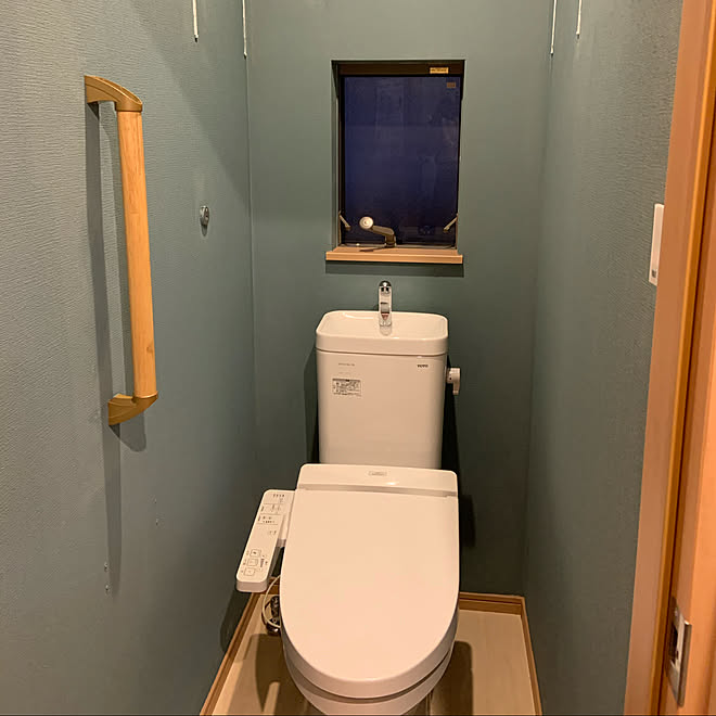 ホワイティカラーズ ブロンズグリーン カインズホームのペンキ 新築建売住宅 Diy バス トイレのインテリア実例 19 12 13 03 53 Roomclip ルームクリップ