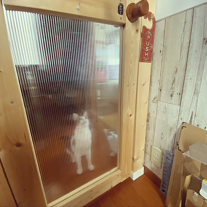 ダイソーのスリッパホルダー セリアリメイクシート ダンボールストッカー ディアウォールdiy 脱走防止扉 などのインテリア実例 21 08 12 15 19 29 Roomclip ルームクリップ