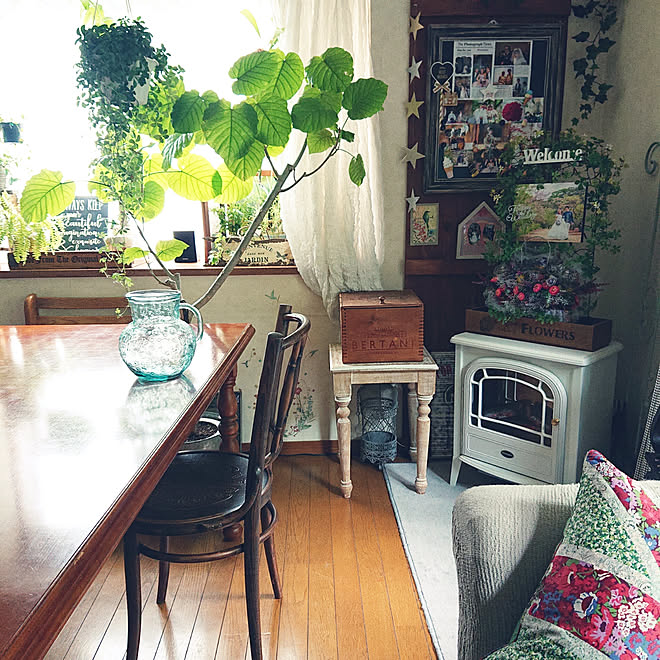 リビング 花のある暮らし いいね フォロー本当に感謝です 観葉植物のある暮らし 吊るすの大好き などのインテリア実例 19 07 14 10 51 48 Roomclip ルームクリップ