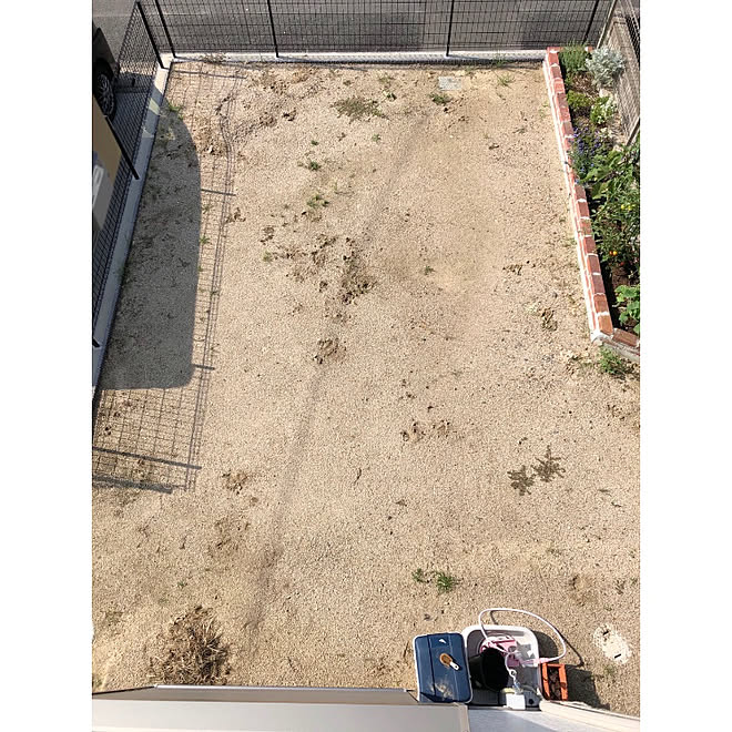 レイズドベッド 庭 家庭菜園 庭仕事 建売住宅 などのインテリア実例 08 10 09 42 58 Roomclip ルームクリップ レイズドベッド 庭 家庭菜園 庭仕事 建売住宅 などのインテリア実例 08 10 09 42 58 Roomclip ルームクリップ