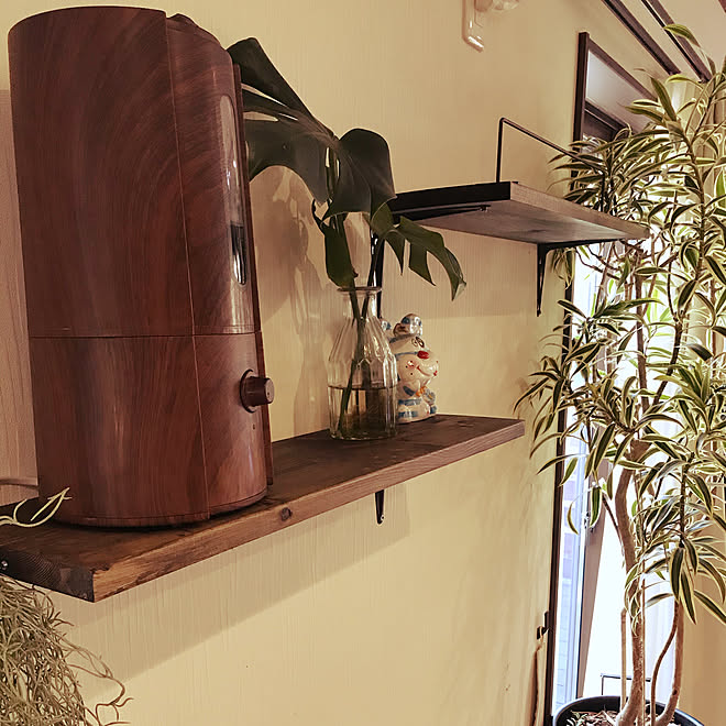Diy 植物のある生活 植物のある部屋 観葉植物 植物と暮らす などのインテリア実例 12 14 15 35 09 Roomclip ルームクリップ