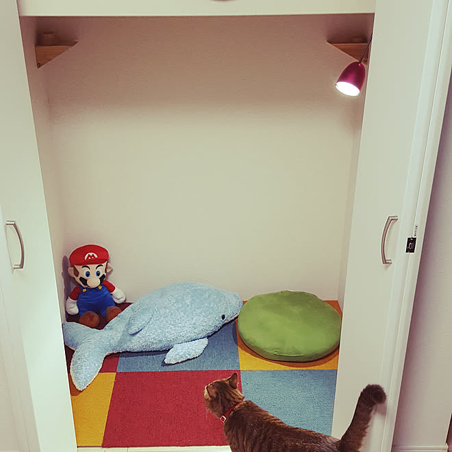 子供部屋 キッズスペース クローゼット クローゼット改造 ねこ 秘密基地のインテリア実例 18 06 18 22 23 58 Roomclip ルームクリップ