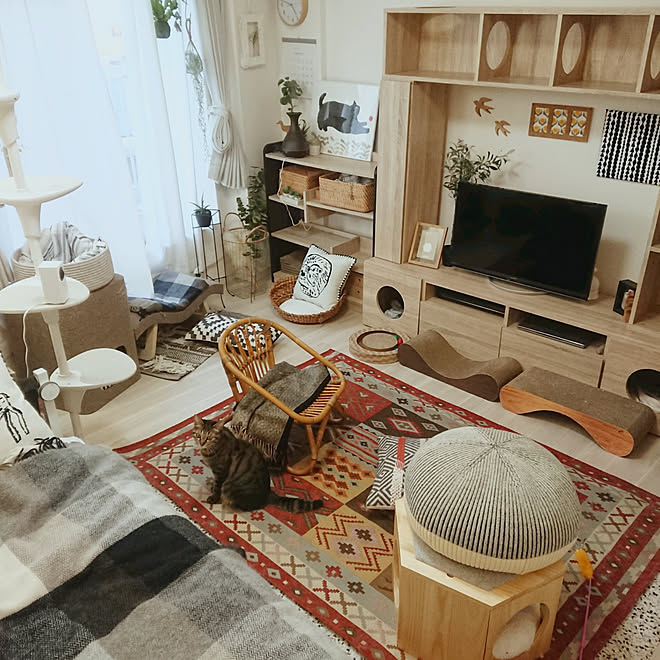 リビング 猫と暮らすインテリア 無印良品 ナチュラル 一人暮らし などのインテリア実例 19 02 03 16 55 32 Roomclip ルームクリップ