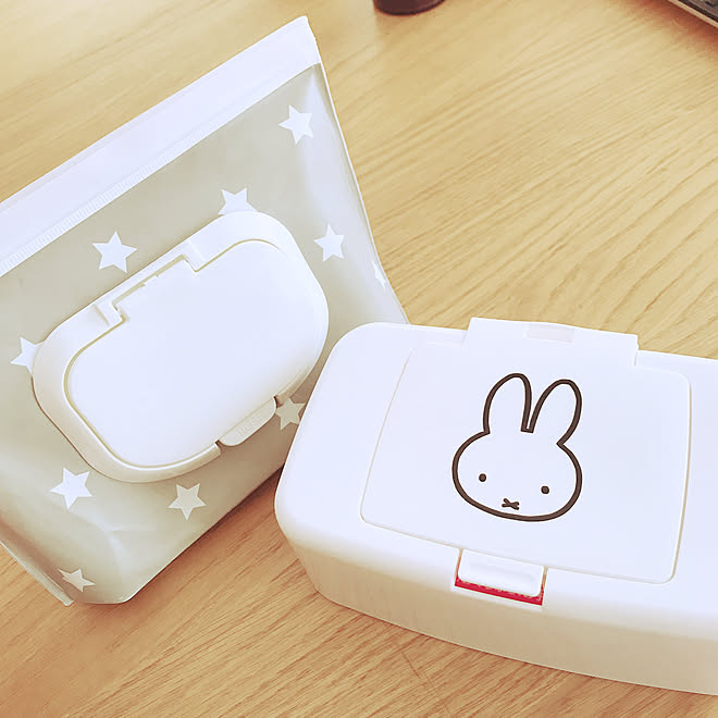 お気にいる ウェットティッシュケース ティッシュボックス Orointegrated Coop