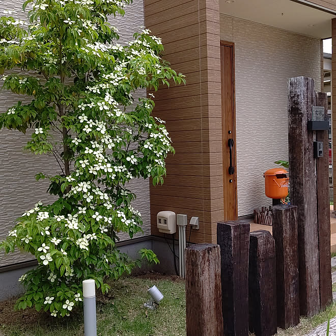 玄関 入り口 シンボルツリー 注文住宅 枕木門柱 やまぼうし などのインテリア実例 06 17 48 14 Roomclip ルームクリップ 玄関 入り口 シンボルツリー 注文住宅 枕木門柱 やまぼうし などのインテリア実例 06 17 48 14 Roomclip ルームクリップ